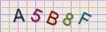 visual captcha